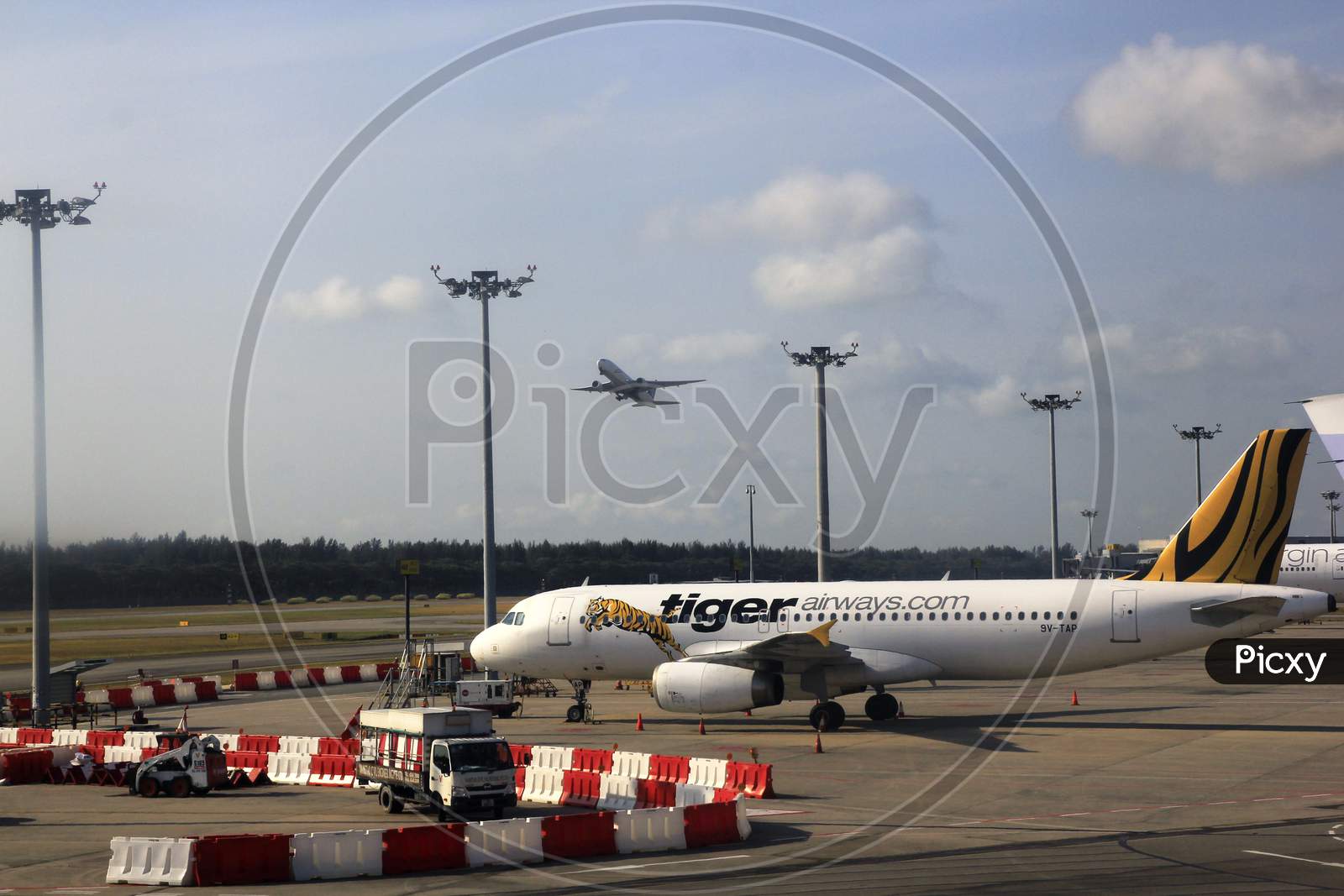 Airbus Tiger Airways aircraft operating as Tigerair are parked at Changi International Airport