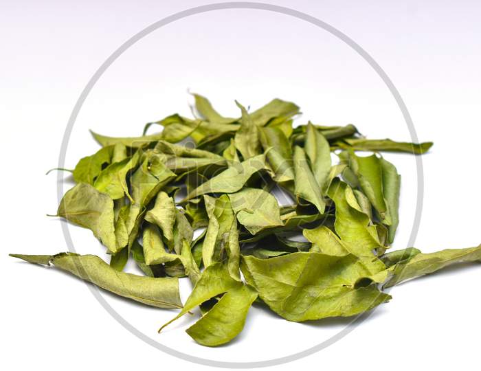 Bunch Of Indian Curry Leaves