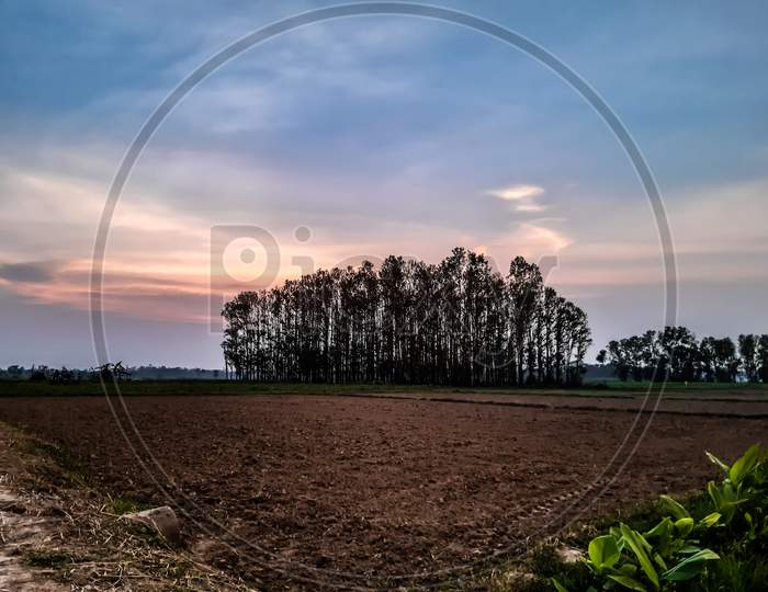 Indian Village Environment, Agriculture Land And Blue Sky With White Cloud.
