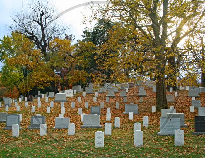 Arlington National Cemetery In Autumn (Va 0045)