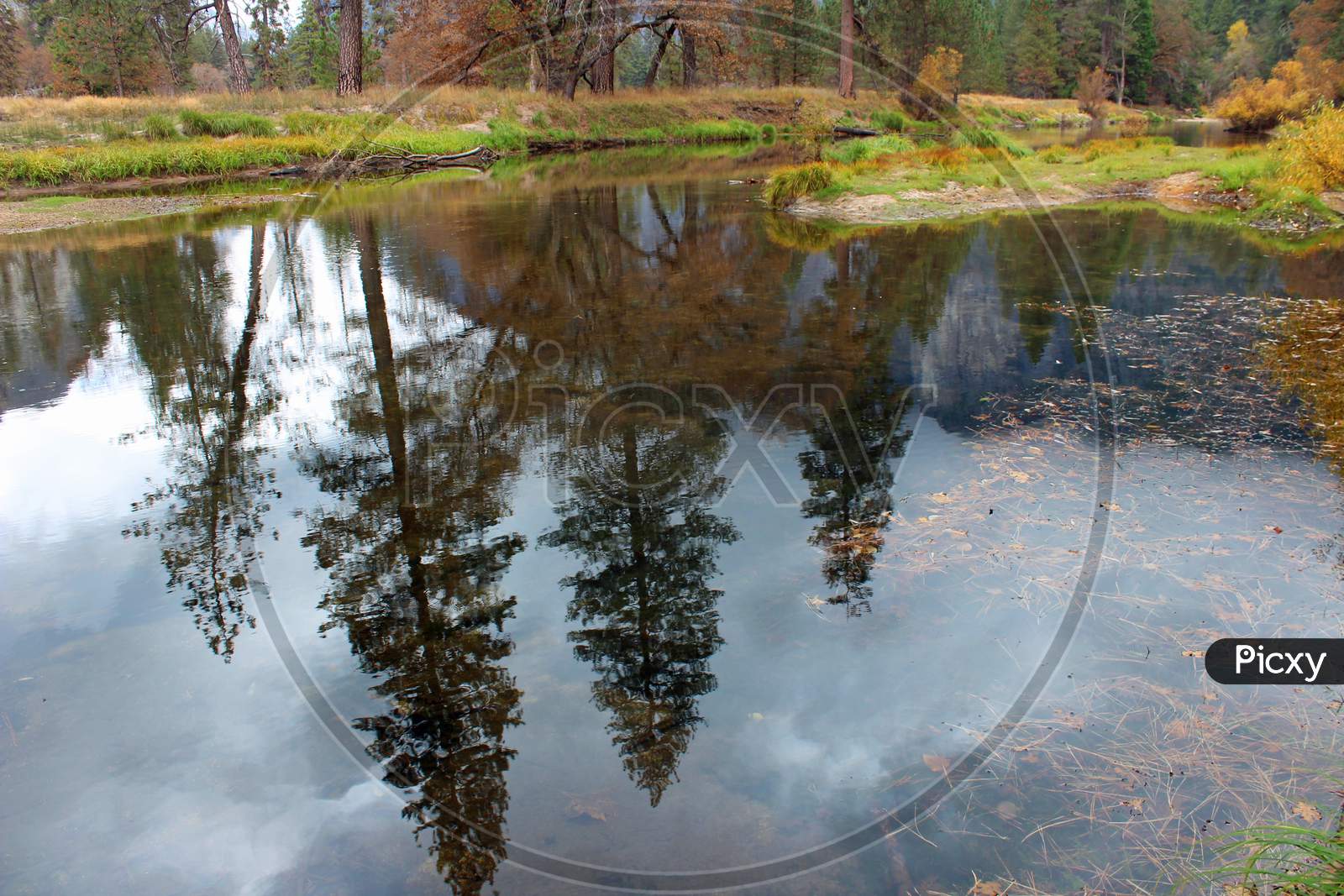 Autumn Reflection In Yosemite (Ca 06265)