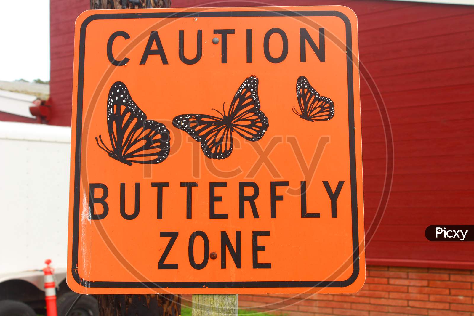 Butterfly Zone (Ca 07939)