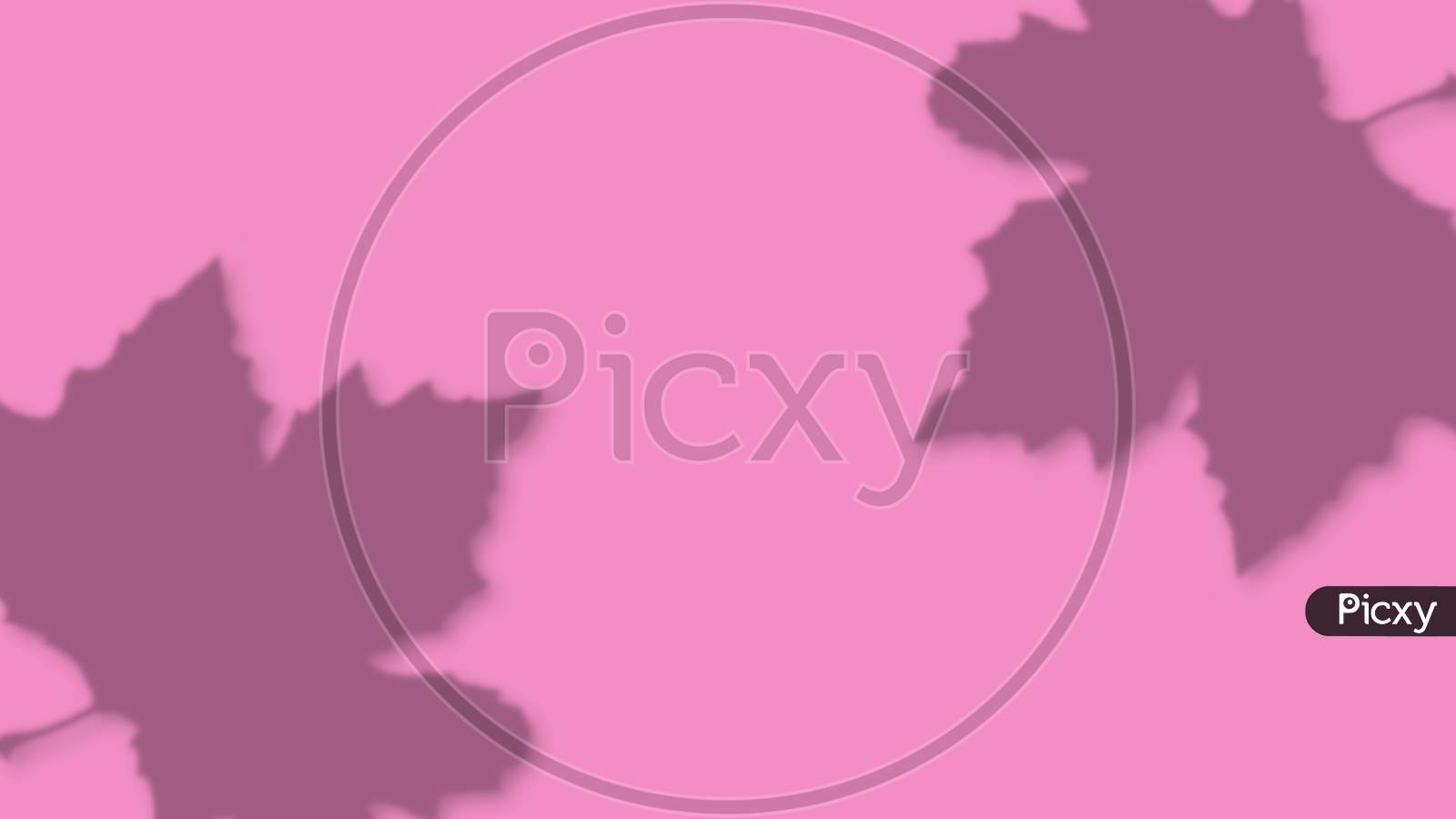 Pink background with shadow of the autumn leaf at the two corners. Copy space. Place for text and design.