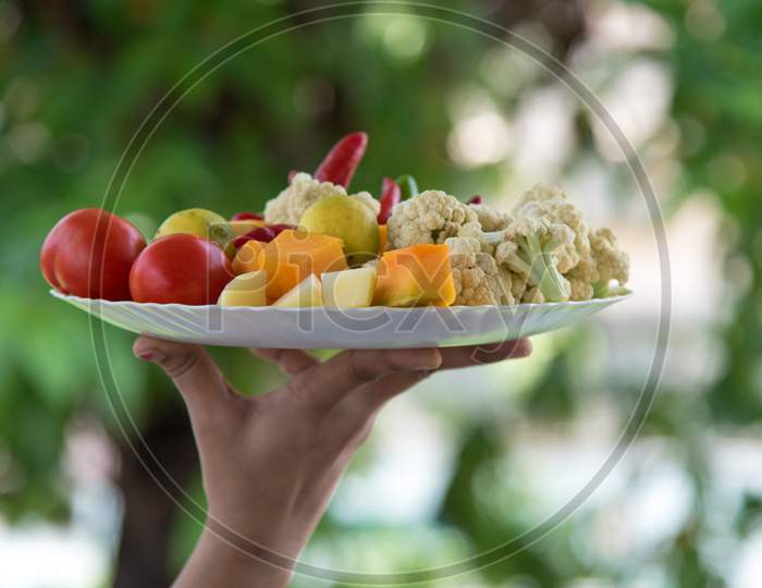 Arrangement of market fresh Vegetables