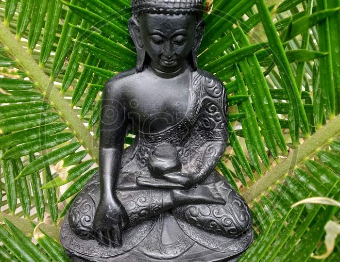 Statue of Gautam Buddha