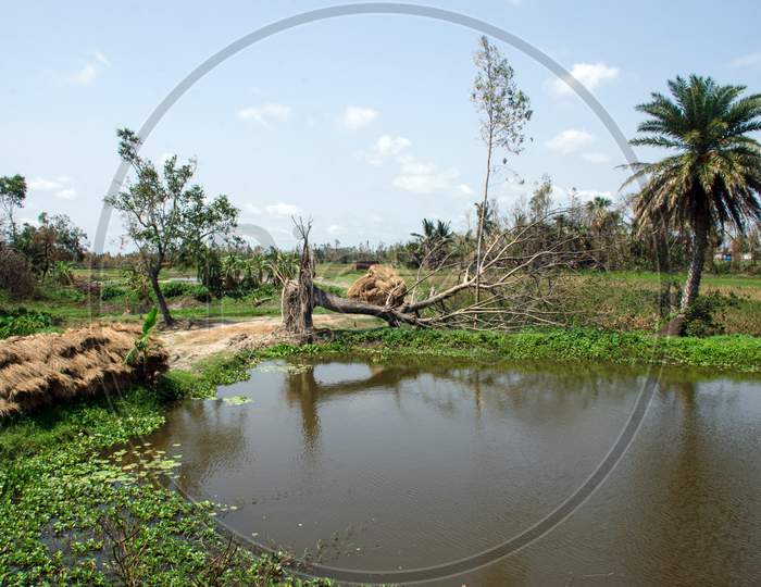 After effects of super cyclone amphan at gosaba south 24 pargana west bengal