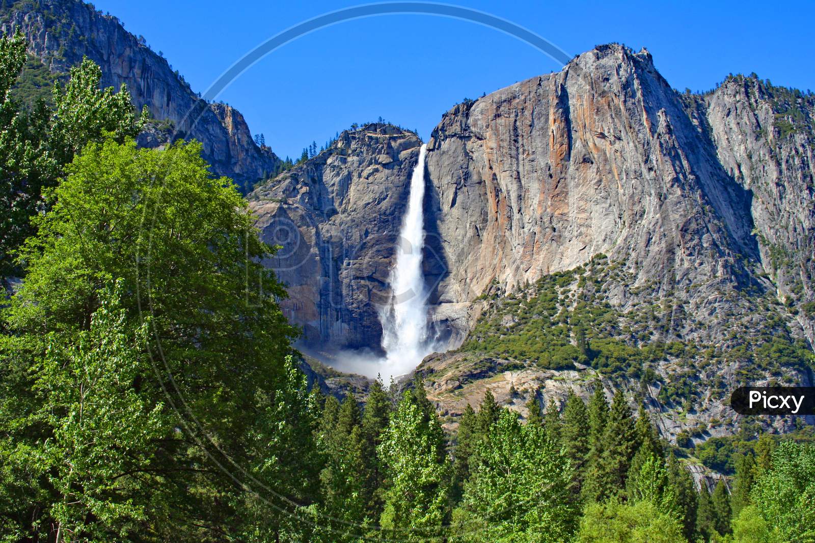 Yosemite Falls In The Spring (Ca 00102)