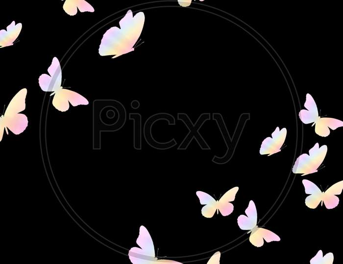 Colorful butterfly background with copy space. Black background with the pink butterfly flying around the corners of the frame. The place for text and design.
