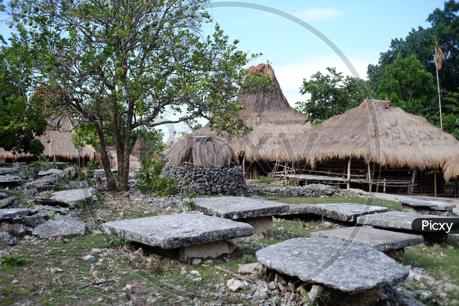 Traditional village in West Sumba, NTT