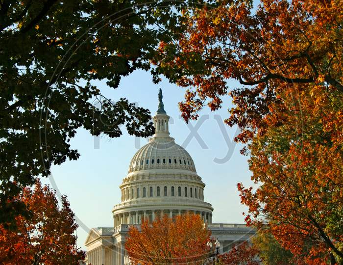 Us Capitol Through The Autumn Leaves (Dc 0022)