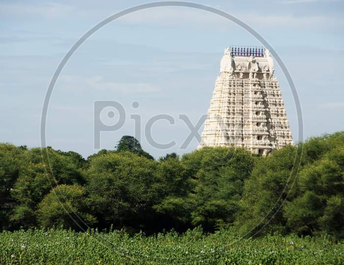 India Tirumala Venkateswara Temple, Tirupati, Andhra Pradesh. The Main Temple Is A Magnificent Example Of The Fine Indian Temple Architecture.