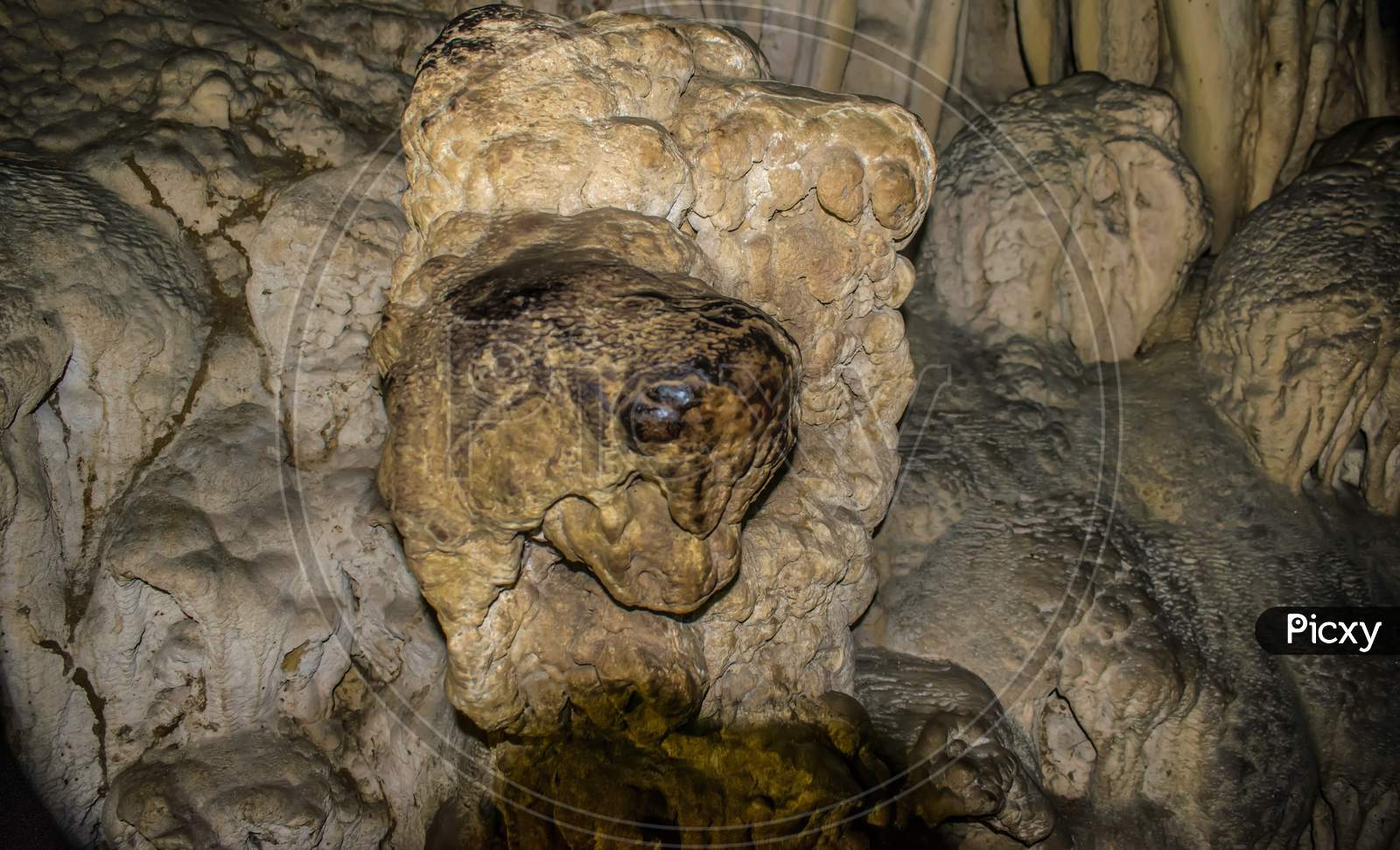 Limestone Cave Baratang In Andaman And Nicobar Islands