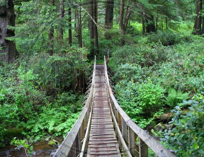 Wooden Bridge Over The Creek (Or 00297)
