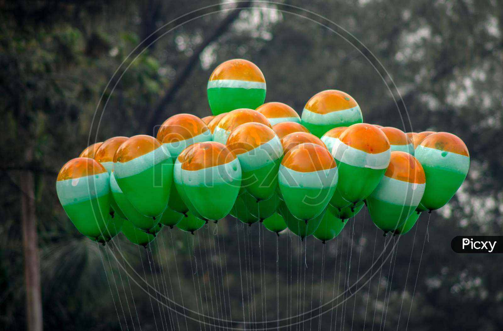 Indian Flag color Balloons