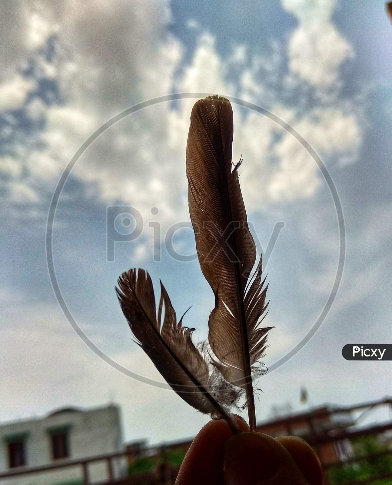 Fly high, wings , feather, bricks with wings , sky, blue,