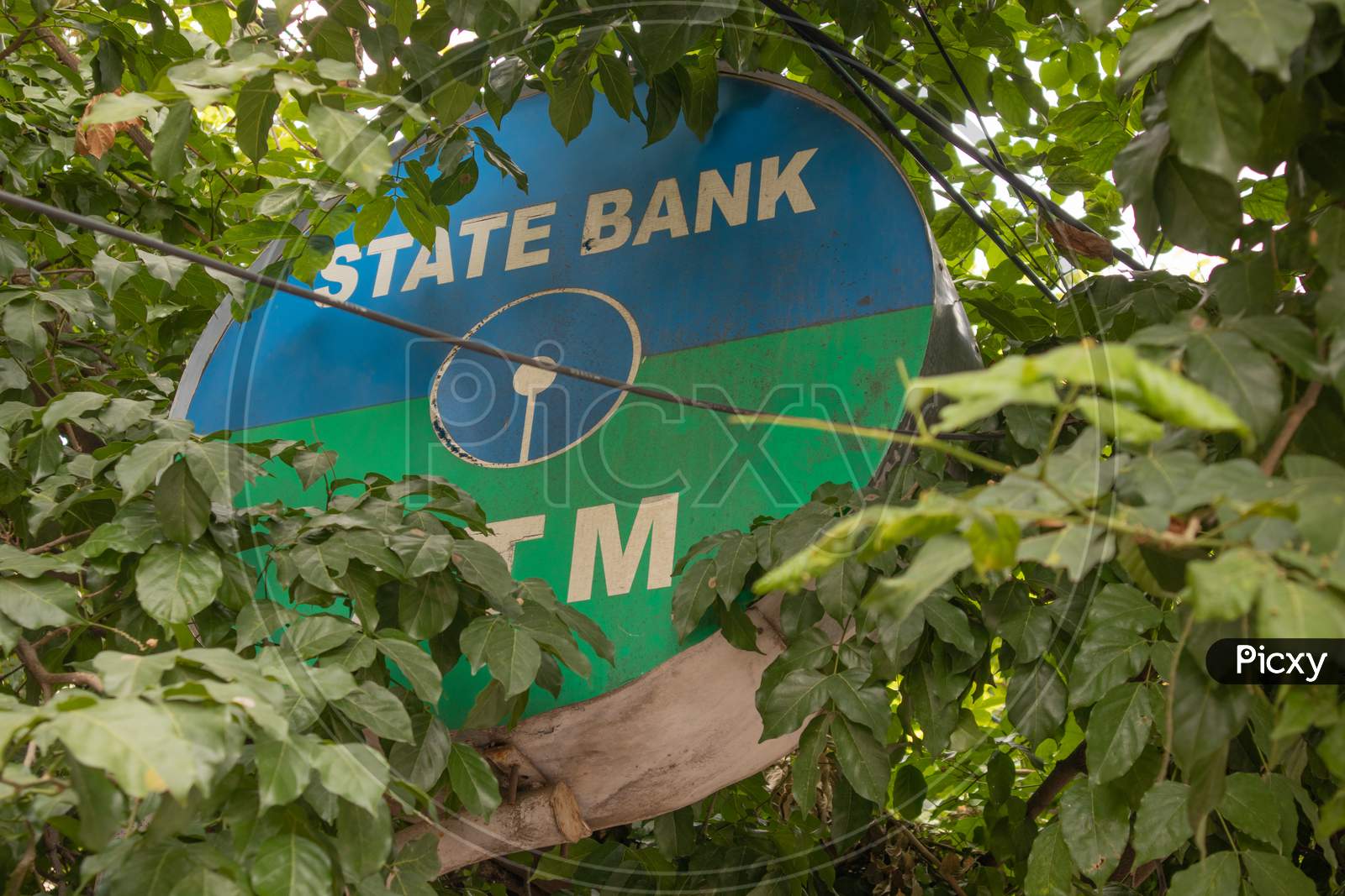 Bengaluru, India June 27,2019 : State Bank Of India Atm Board Covered With Trees.