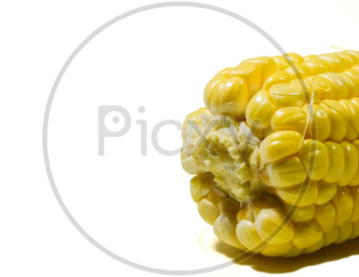 Corn Cut Into A Piece On White Background