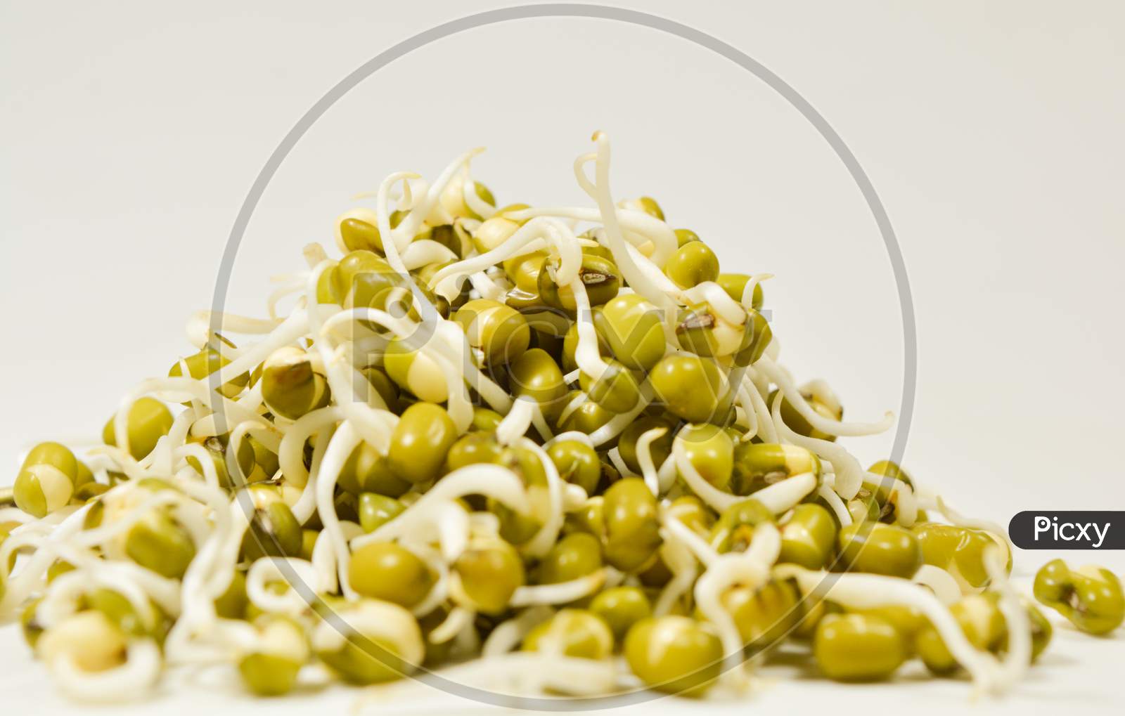 Sprouted Green Gram On Isolated White Background