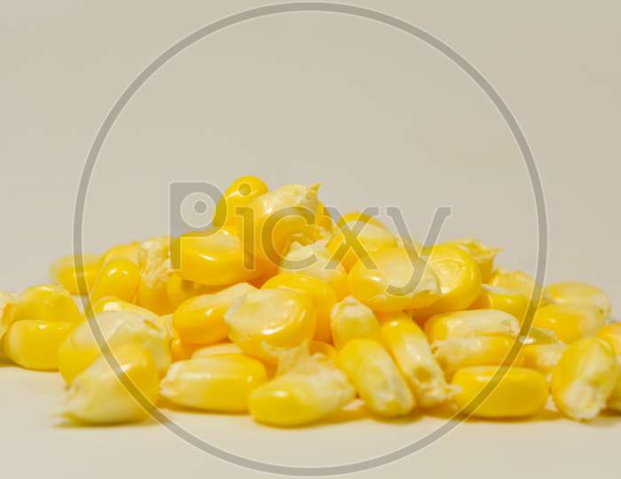 Close up shot of Peeled sweet corn isolated with the White Background