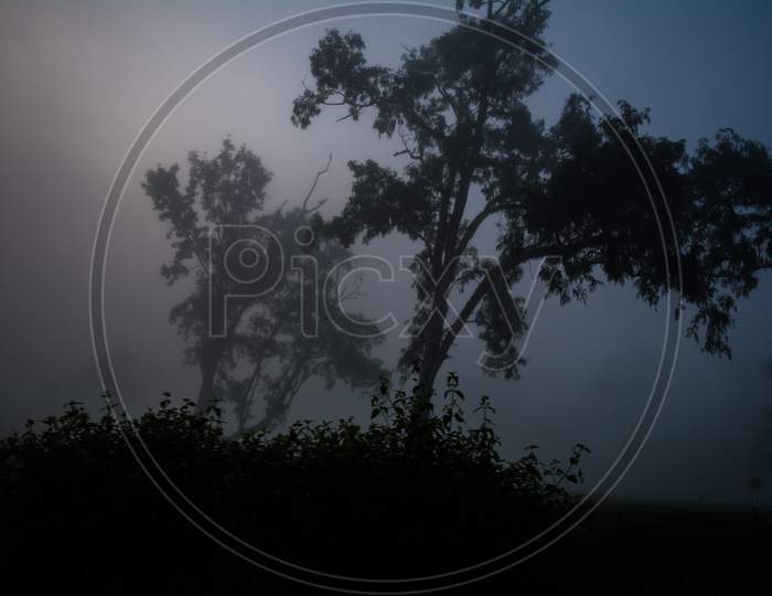 Evergreen rainforest mountains captured during an early foggy morning at Kaziranga National Park, Assam, Northeast, India.