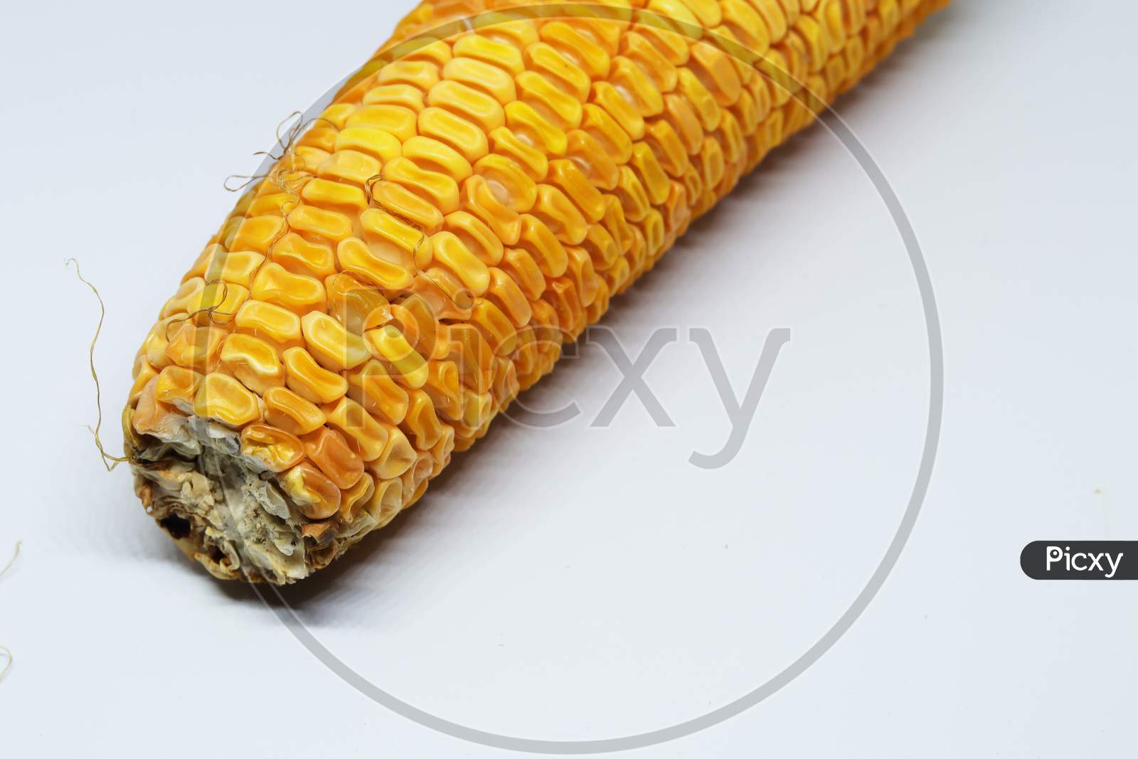 Fresh organic Sweet corn isolated on white background