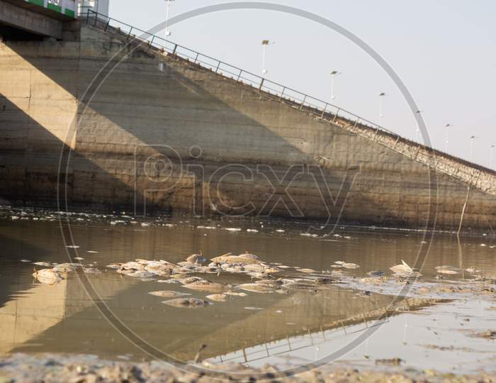 Closeup Of Died Fishes In A Dried Up Empty Reservoir Or Dam Due To A Summer Heatwave, Low Rainfall, Pollution And Drought In North Karnataka,India