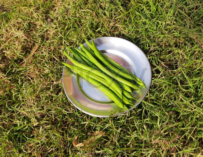 Green  beans on the plate in green grass background.