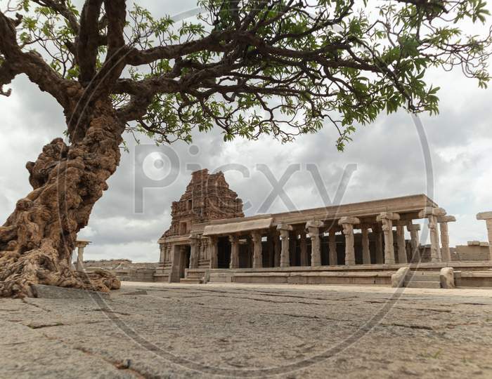 View Through The Abandoned Tree At Vittala Temple In Hampi, Karnataka, India