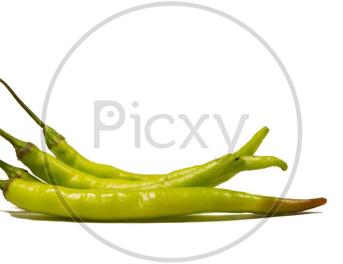 Green Jalapeno Or Chilli Isolated On White Background