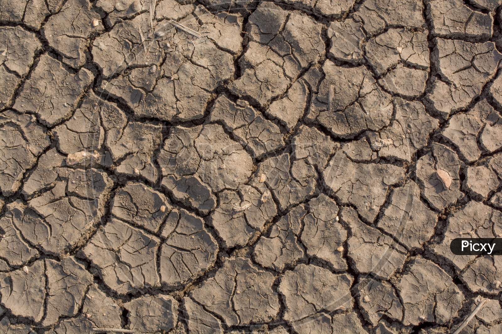 Dry Soil Arid,Drought Land Of India In Summer Seasion.