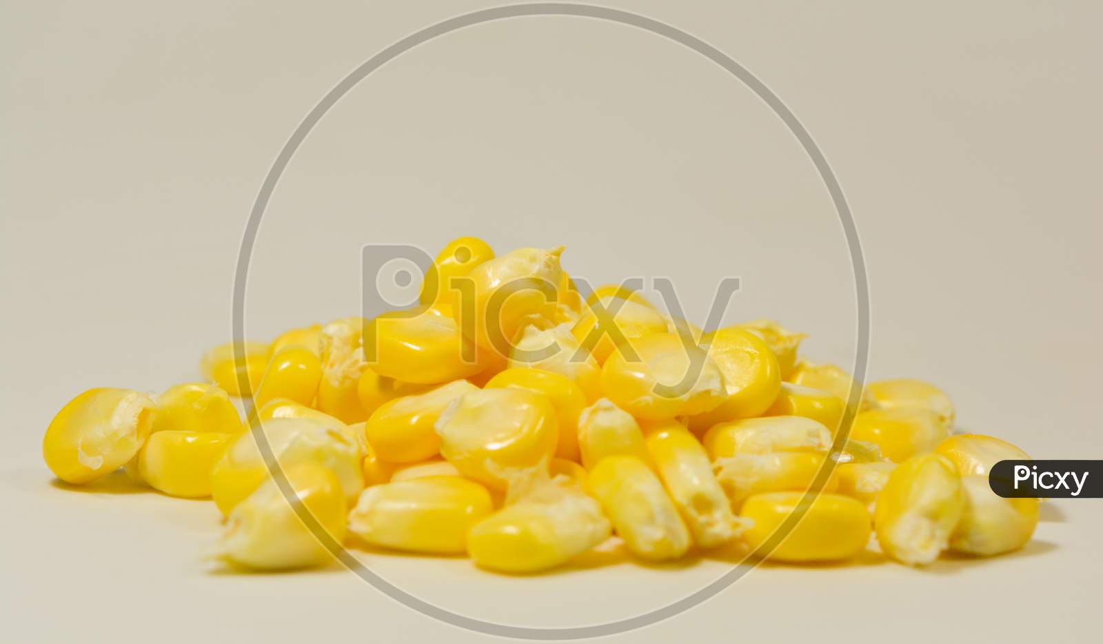 Close up shot of Peeled sweet corn isolated with the White Background