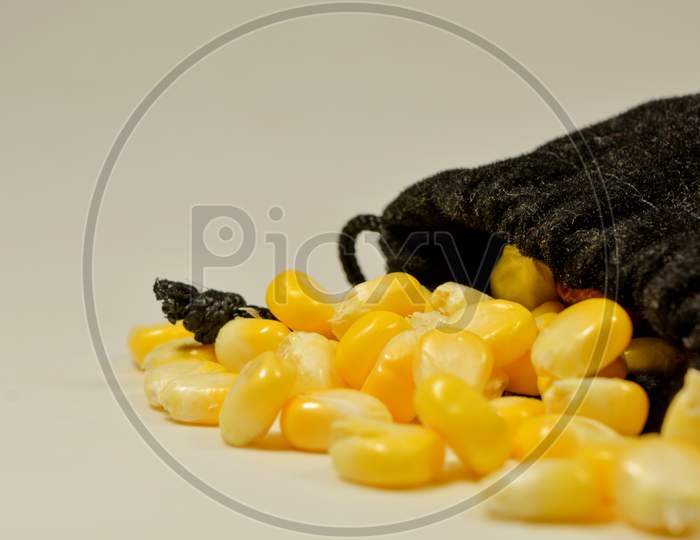 Close up shot of Peeled sweet corn in a bag isolated with White Background