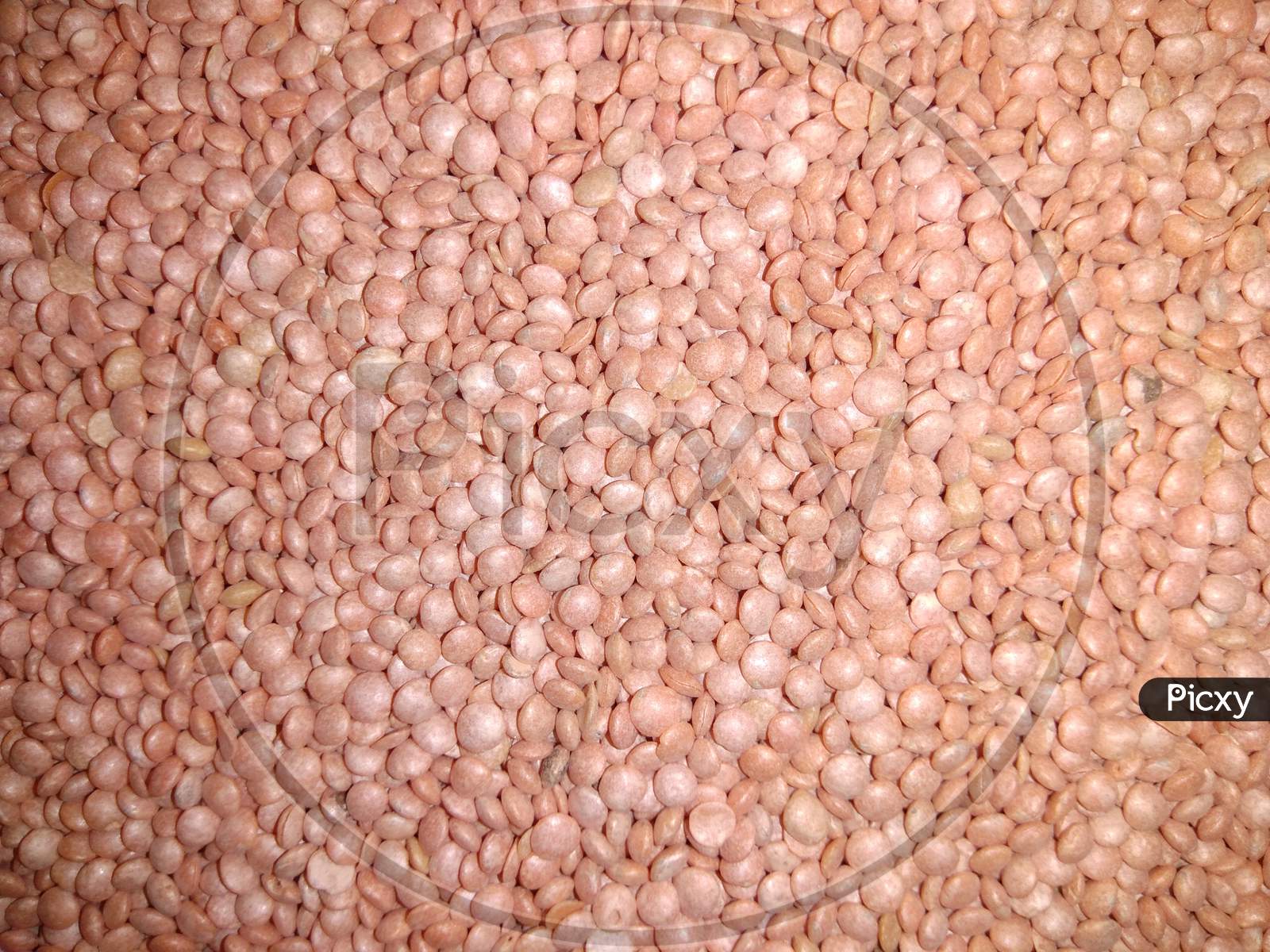 lentils, wallpaper