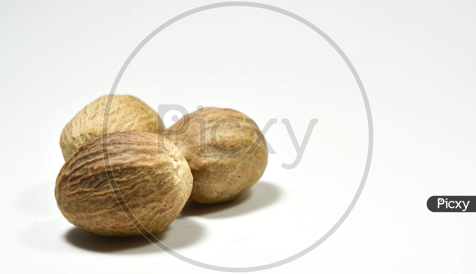 Nutmeg Isolated On White Background
