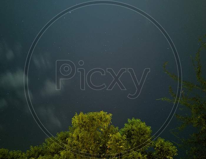 astrophotography , tree , sky