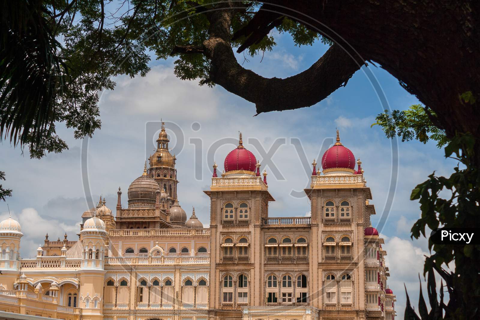 A charming view of the rich Ambavilas Palace in Mysuru.