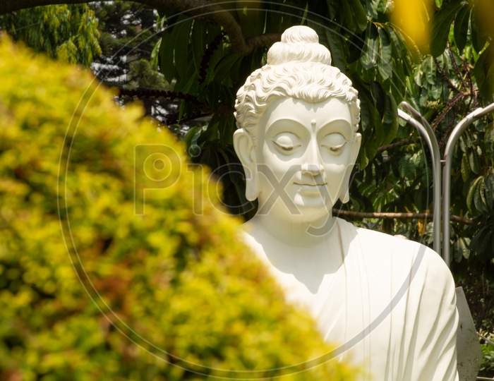 Bangalore, Karnataka India-June 04 2019 :Closeup Face Of White Buddha Statue In Meditating Posture On Stone Table With Nature As A Background