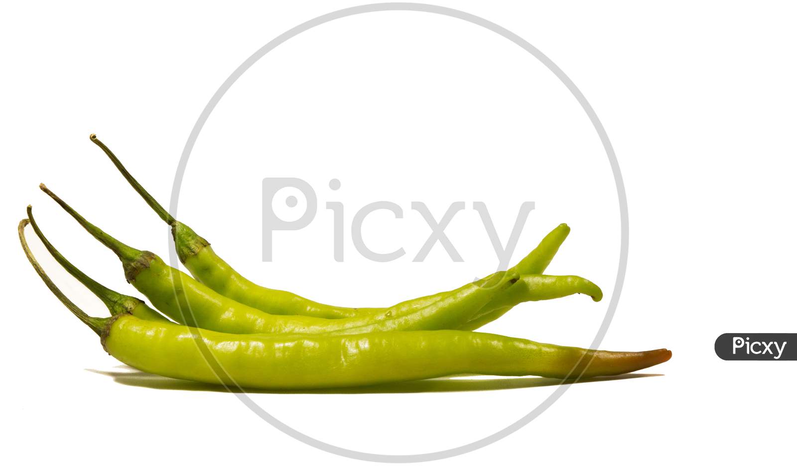 Green Jalapeno Or Chilli Isolated On White Background