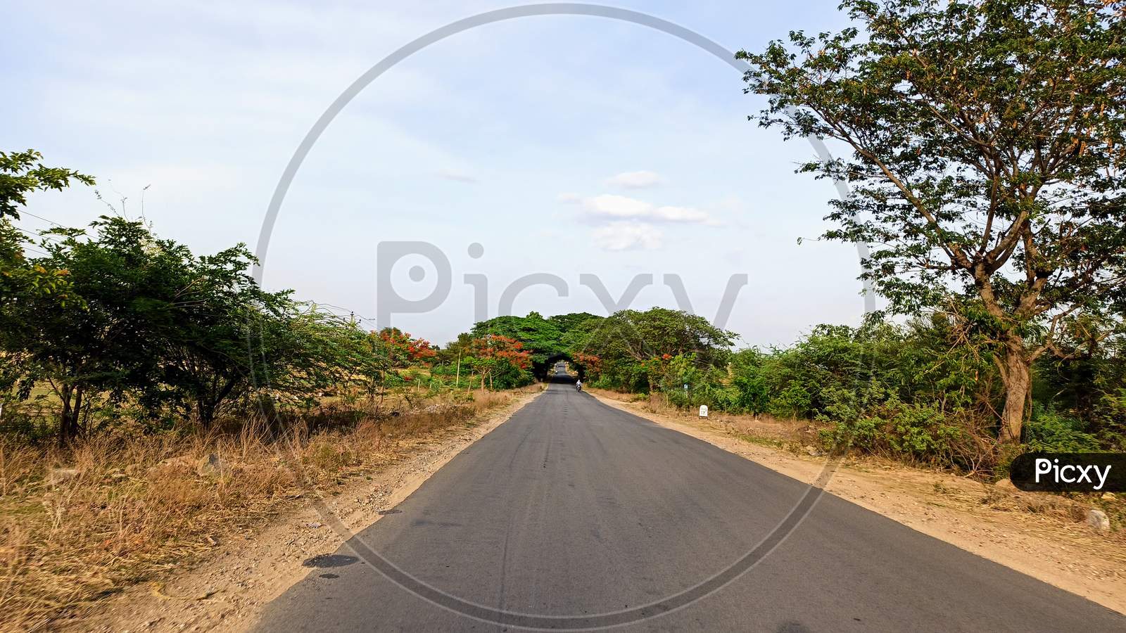 Way To Kothakota Rural Telangana Roads