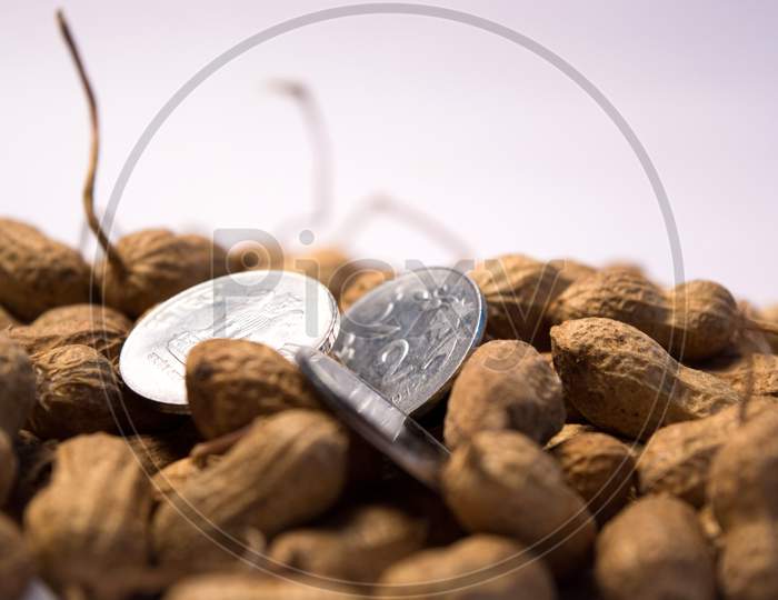 Close Up Of Peanuts Or Groundnuts With Indian Coins On Isolated Background