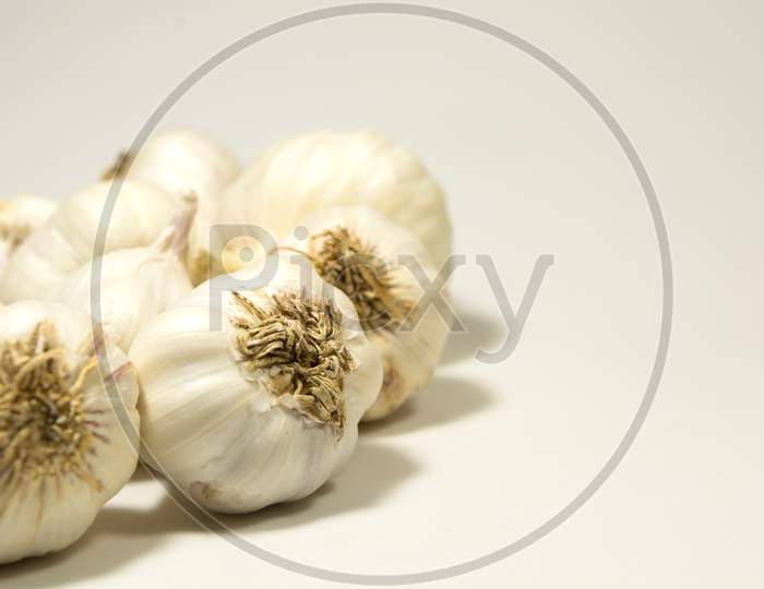 Group Of Garlic Set Isolated On White Background.