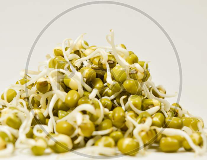 Sprouted Green Gram On Isolated White Background