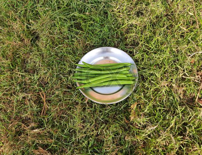 Green  beans on the plate in green grass background.