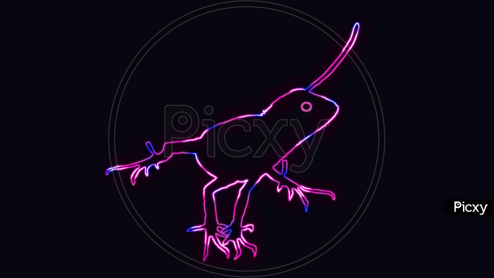Beautiful Outline Of Chameleon Or Lizard With Neon Lighting. Animal Outline With Neon Light Effect Isolated On Black Background.