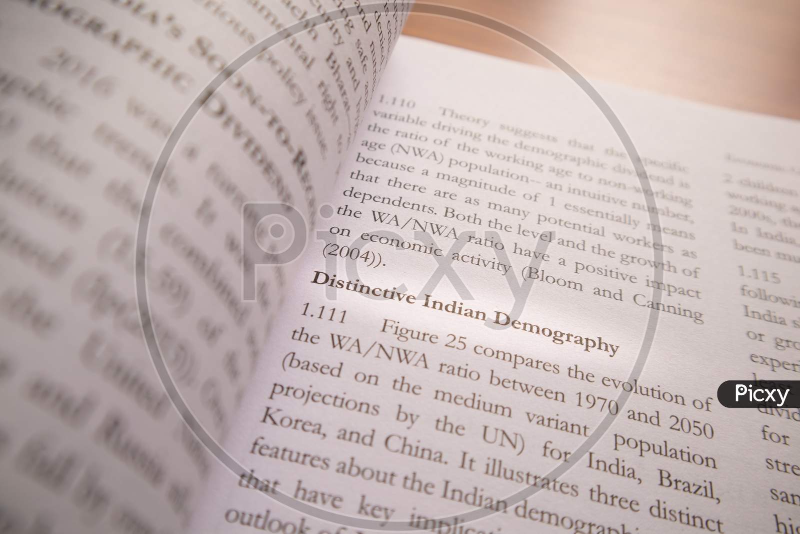 Distinctive Indian Demography Text printed on a White Paper