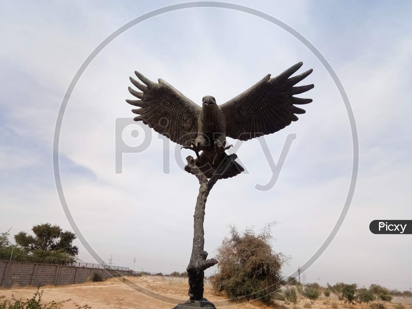 Statue of a eagle made in Deshnok, Rajasthan