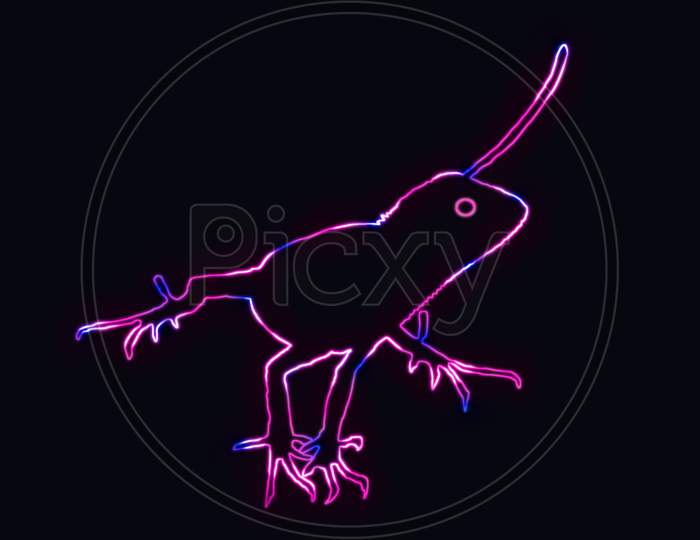 Beautiful Outline Of Chameleon Or Lizard With Neon Lighting. Animal Outline With Neon Light Effect Isolated On Black Background.
