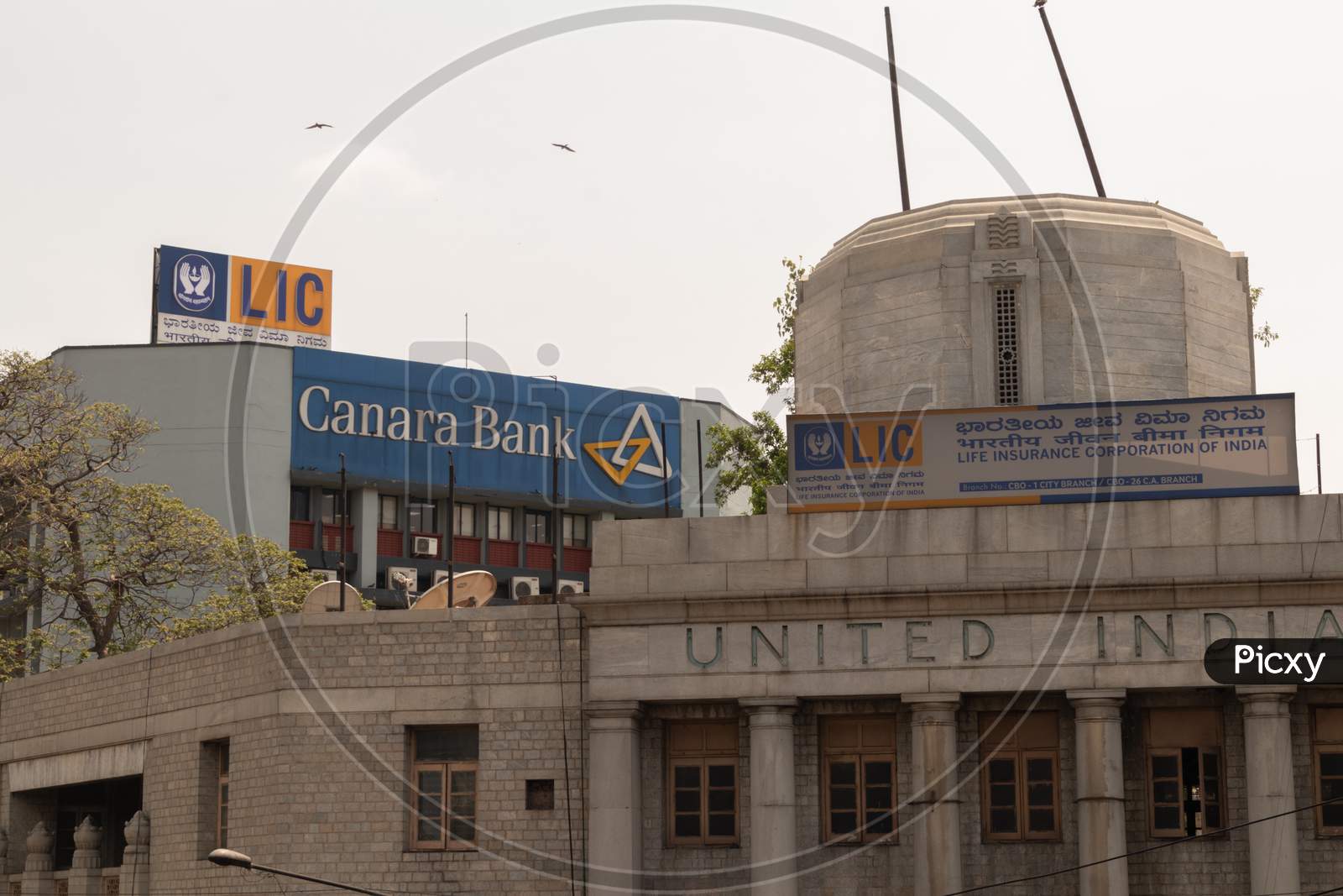 Bangalore, Karnataka India-June 04 2019 : Lic Or Life Insurance Corporation Of India And Canara Bank Billboard On Top The Building At Bengaluru,India