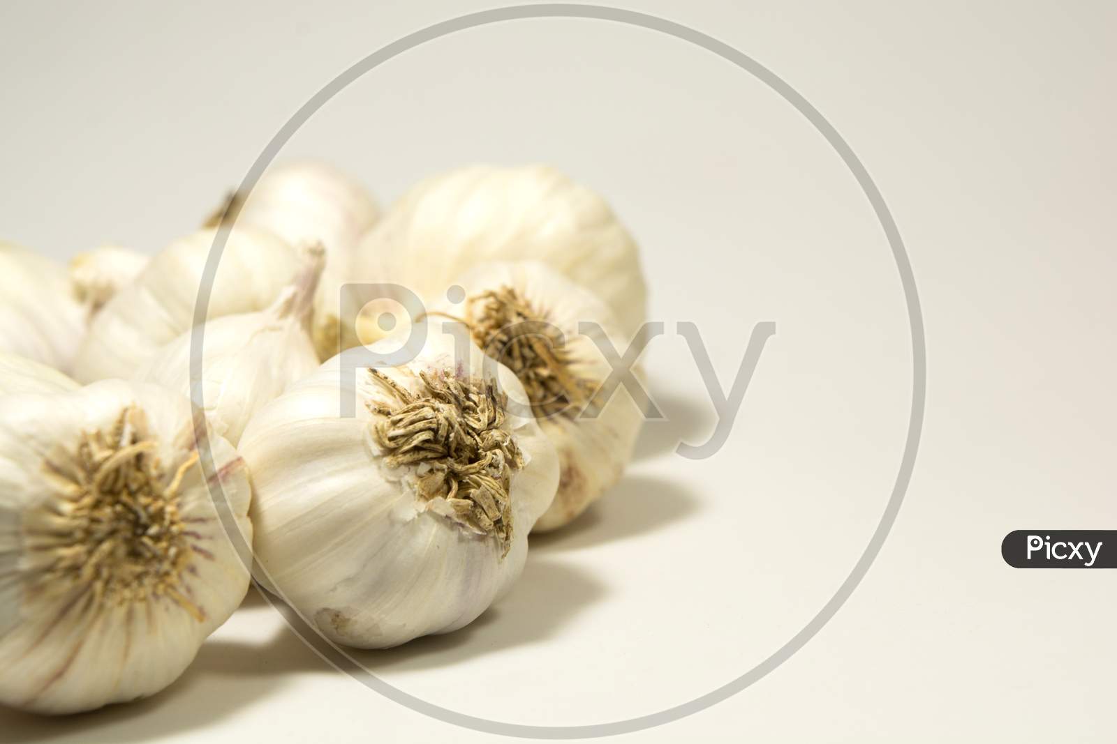 Group Of Garlic Set Isolated On White Background.