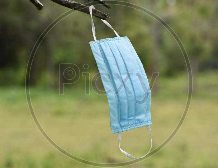 a mask is a hanging from a branch